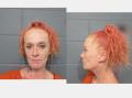 VONTRESS, LISA MARIE mugshot